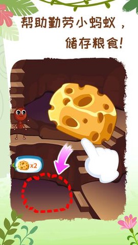 奇妙昆虫世界[图1]