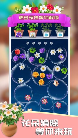 这花太棒了图2
