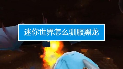 迷你世界怎么驯化黑龙