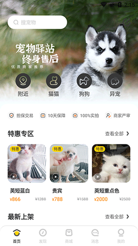 买只宠物[图1]