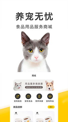 买只宠物图2