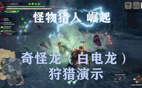 怪物猎人x白电龙怎么打[图1]