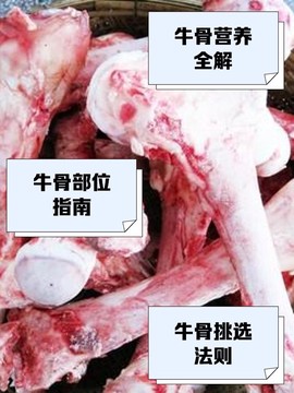 九阴真经牛骨怎么得[图2]