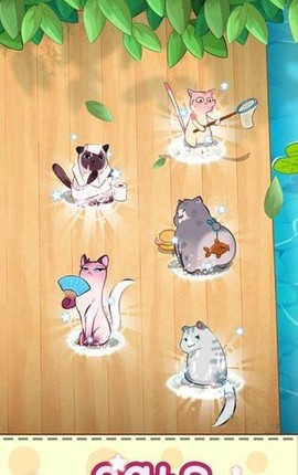 猫咪合并图3