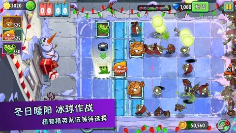 花花也疯狂图3