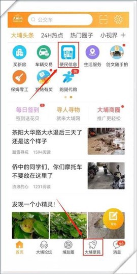 大埔网图3