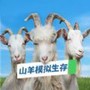 微信
