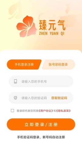 臻元气图1