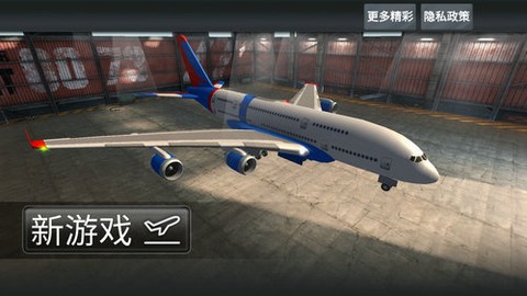 模拟飞行员图2