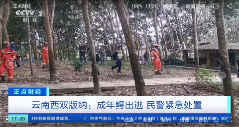 悠兔电视图3