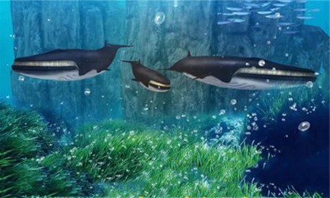 鲸鱼生存大作战图1