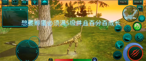 诅咒之岛安装包[图5]