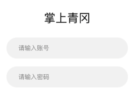 掌上青冈[图1]
