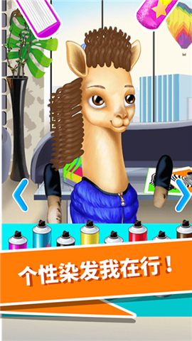 动物园美发沙龙图1