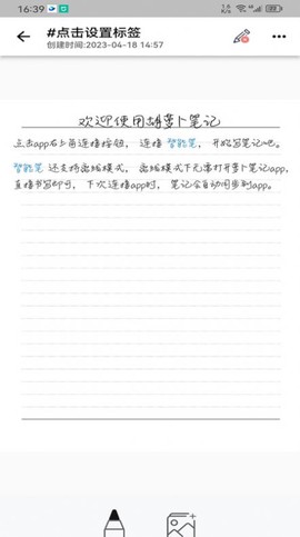 胡萝卜笔记图3