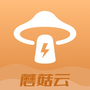 蘑菇云手机安卓版