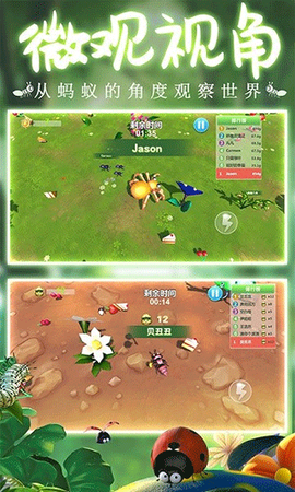 蚂蚁行军团图2