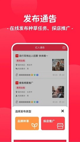红人通告图2