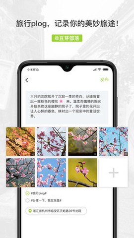 豆芽部落图2