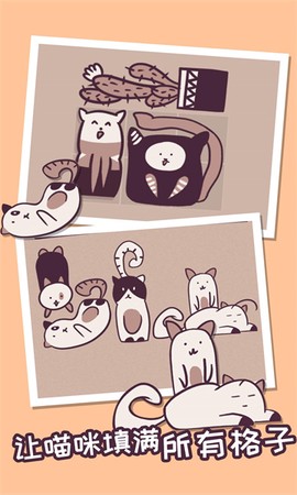 我的小猫贼好看图1