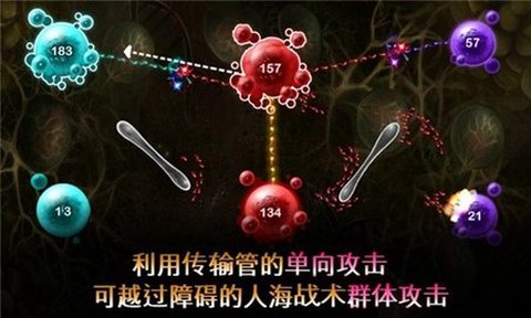 繁殖战争2图2