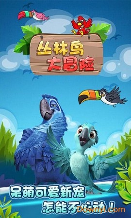 丛林鸟大冒险图2