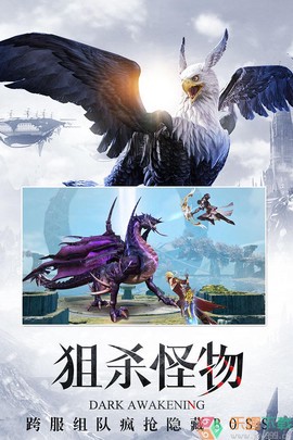 暗黑觉醒图3
