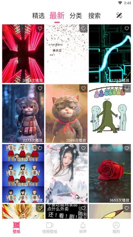 视频壁纸秀秀[图1]