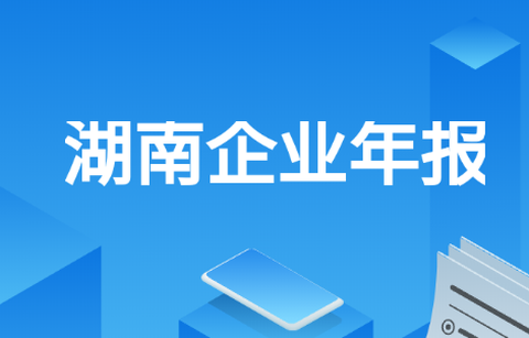 湖南企业年报[图1]