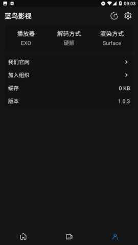 蓝鸟影视图1