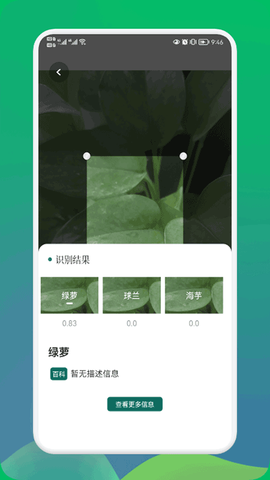 小园丁图2