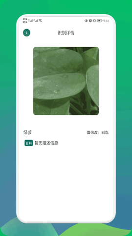 小园丁图3