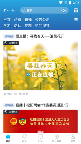 掌上松阳图2