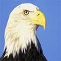 https://static.down8818.com/uploads/20260730/6a6acb9a8c3a92.80187649.png