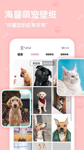 动物语言翻译器图1