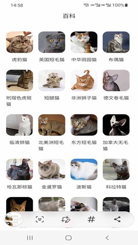 猫先生图1