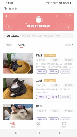 猫先生图3