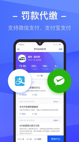 车主查违章图2