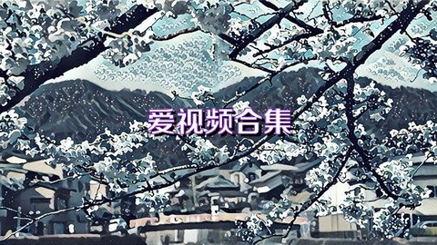 爱视频图2