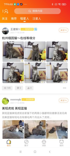 一宠星球图2