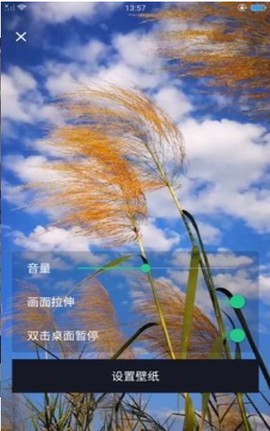 DK主题商店图2