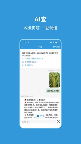 农查查图3
