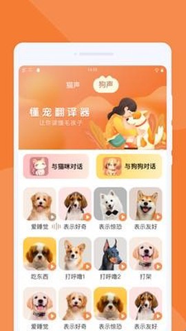 懂宠翻译器[图2]