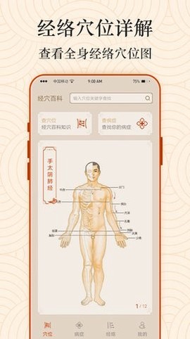 Ai经络穴位图图2