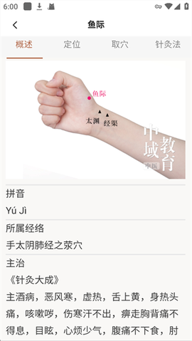 扁鹊中医[图7]