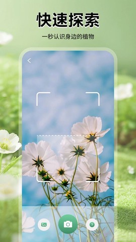 猫满花语图1