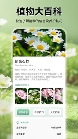 猫满花语图2
