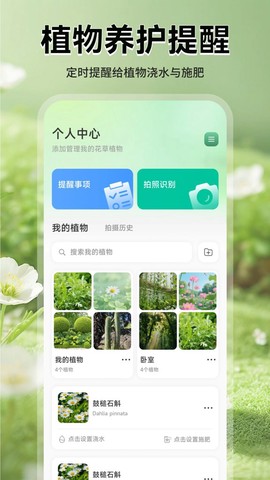 猫满花语图3
