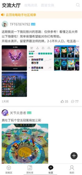 云顶攻略助手[图7]