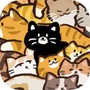 挤在一起的猫猫